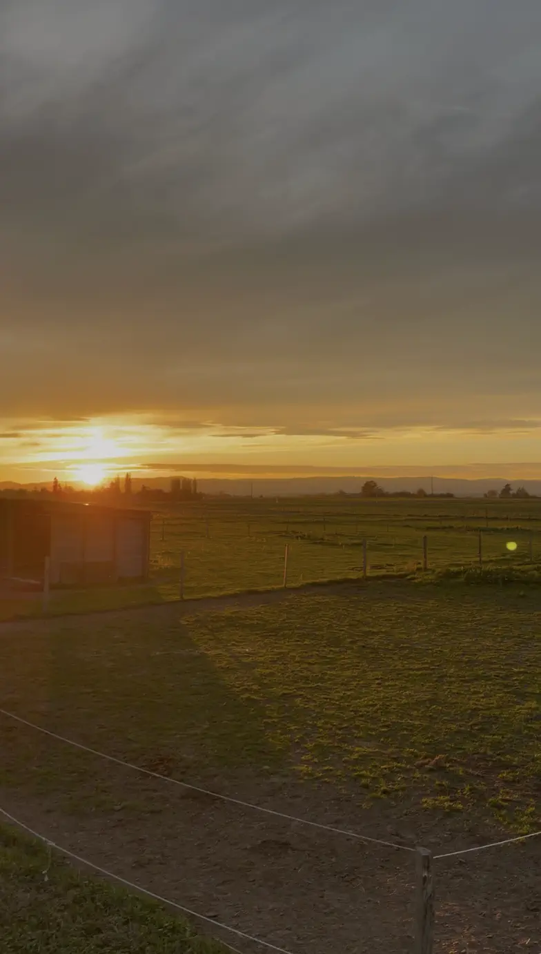 Pré au coucher de soleil